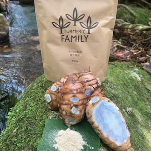 屋久島産ガジュツ粉・1ヶ月分お得な末年間契約〜400g×12パック(毎月一袋づつ発送)