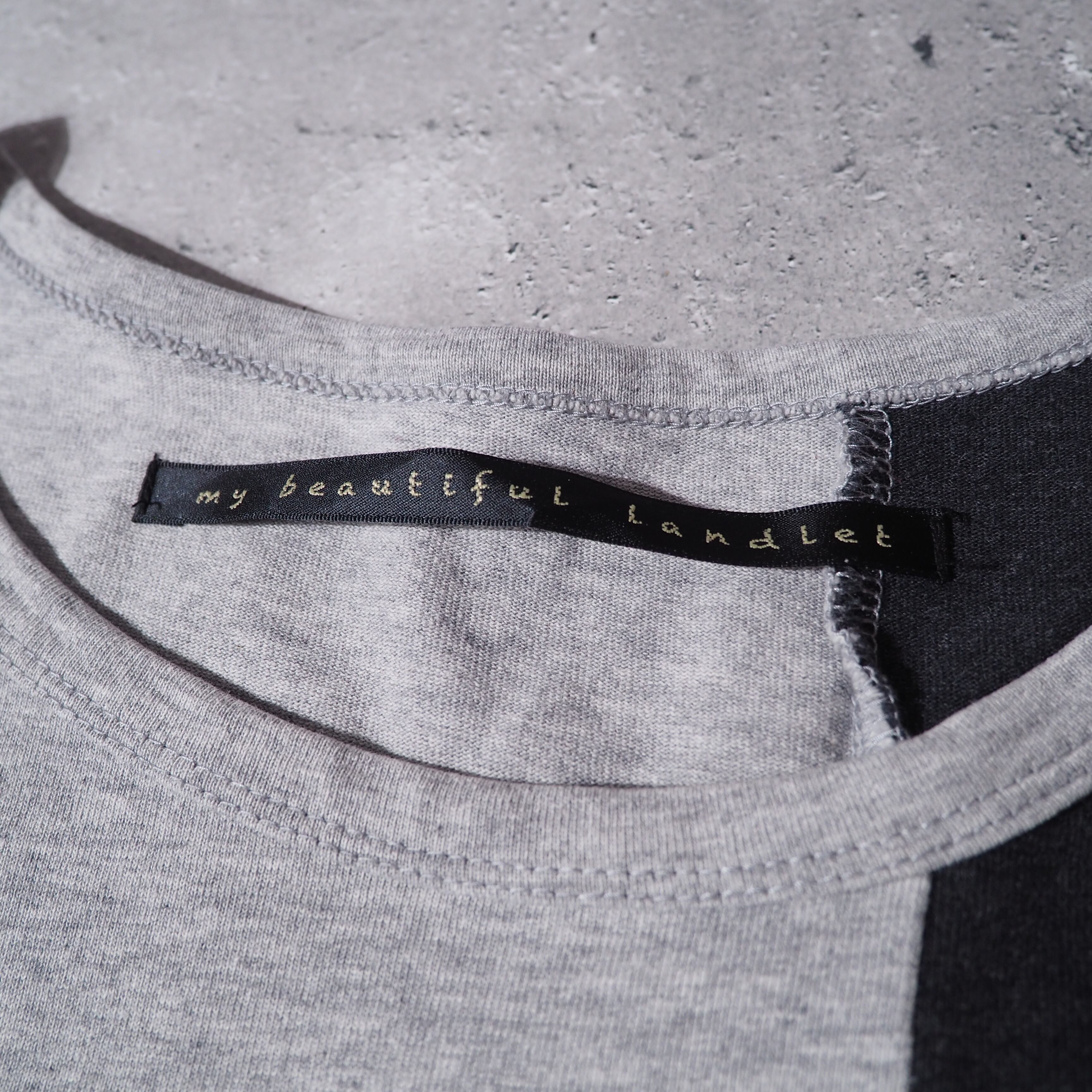 ” my beautiful landlet ” switching panel design loose silhouette Tee