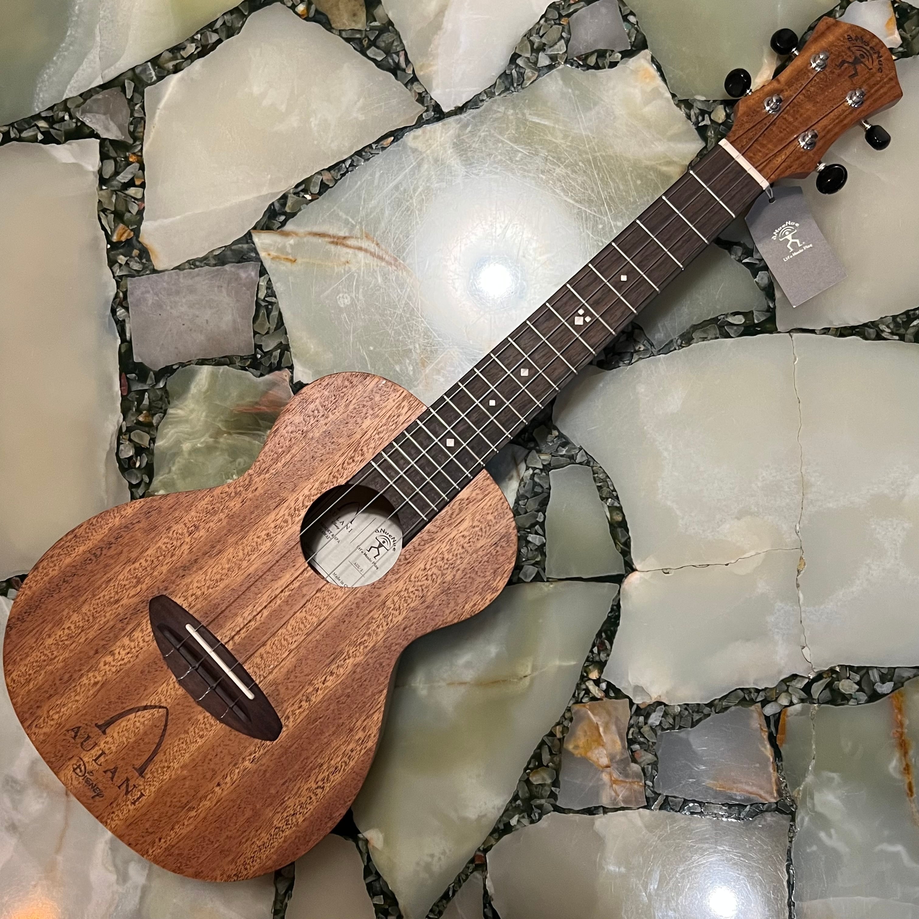 ウクレレ本体 | UKULELE DARUMA