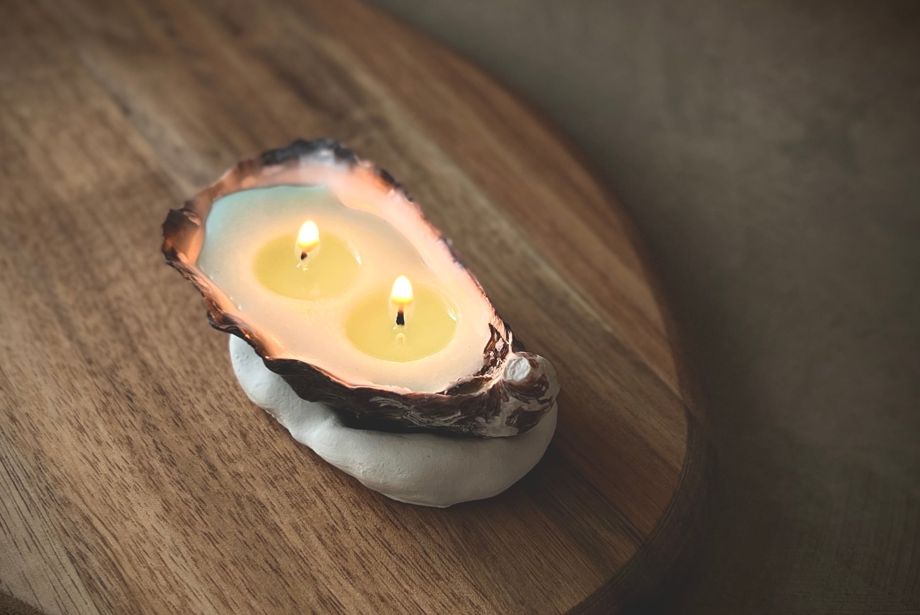 Oyster Candle】-クレール- 2本芯×2個/100%国産ソイ・アロマストーンの