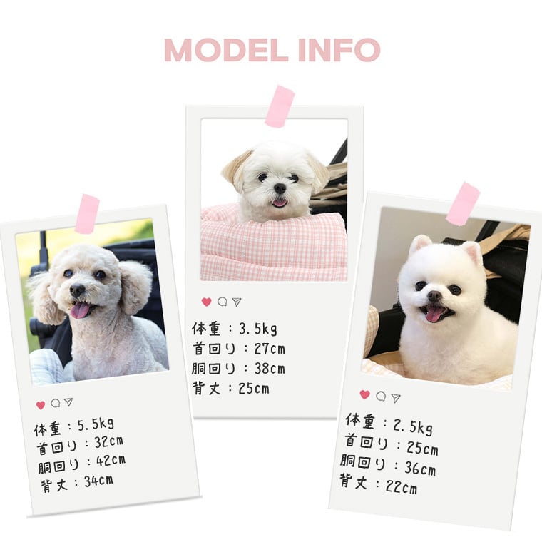 ベアーペットカートクッション 6color / 犬用 カート クッション あご乗せ 一体型 固定 可愛い ペット用カート ふわふわ マット リバーシブル 両面 ベロア ふわふわ オールシーズン 暖かい 韓国 ParisDog クマ柄