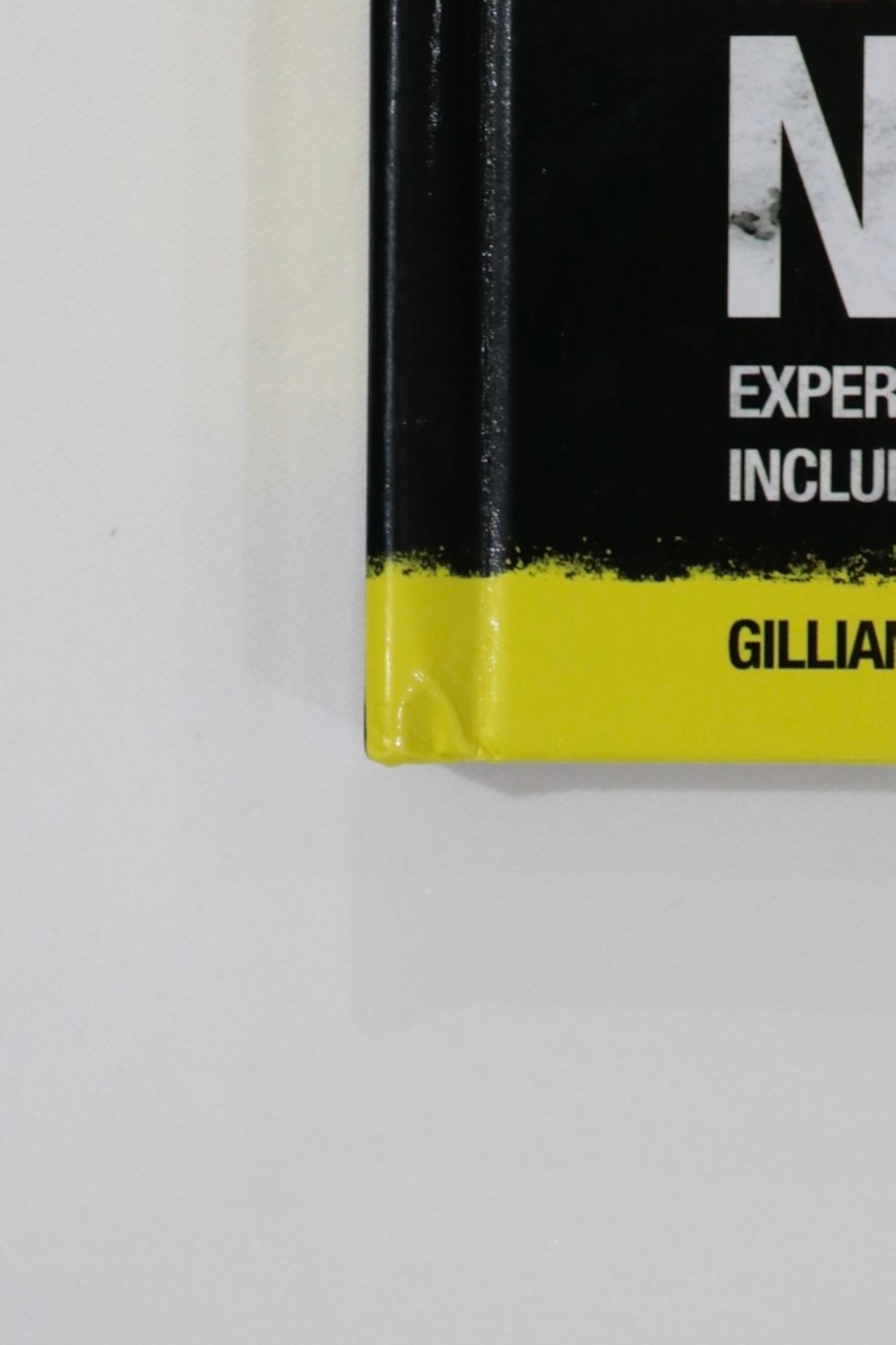 NIRVANA 2011 "TRESURE OF NIRVANA"