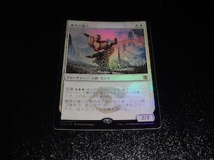 FOIL/真珠の達人/Master of Pearls/日本語版/MTG