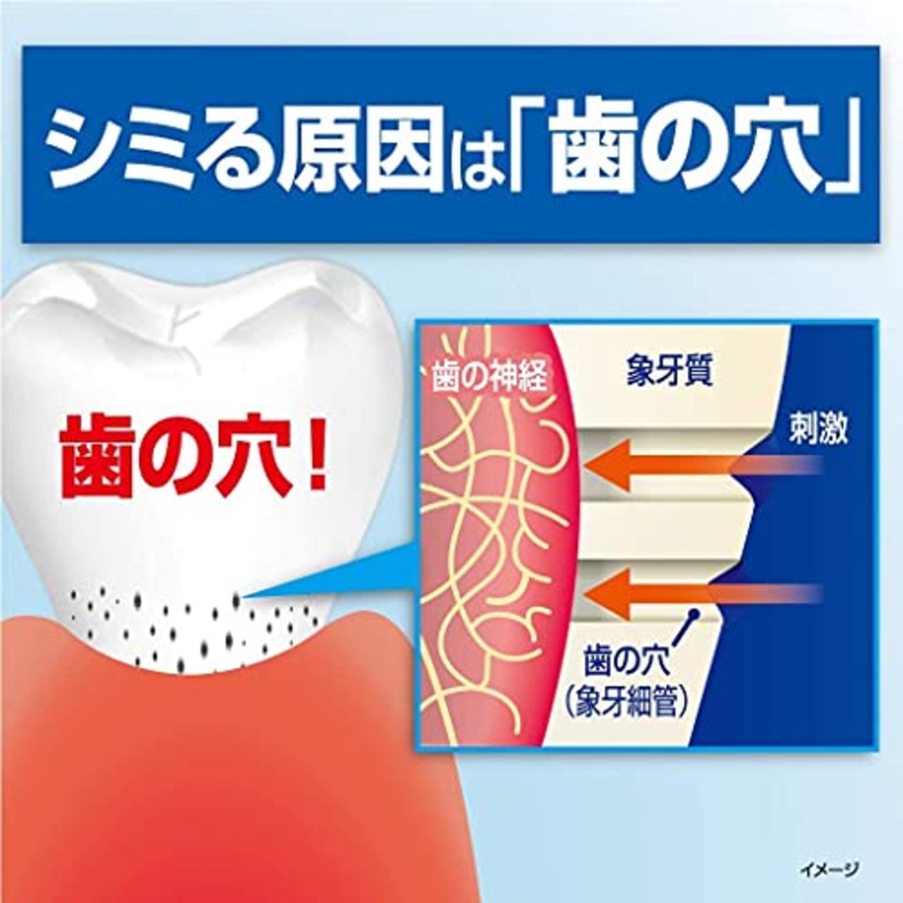 ハウメル 知覚過敏ケア 薬用ハミガキ 100g×2個 歯の穴を埋める 小林製薬 【医薬部外品】