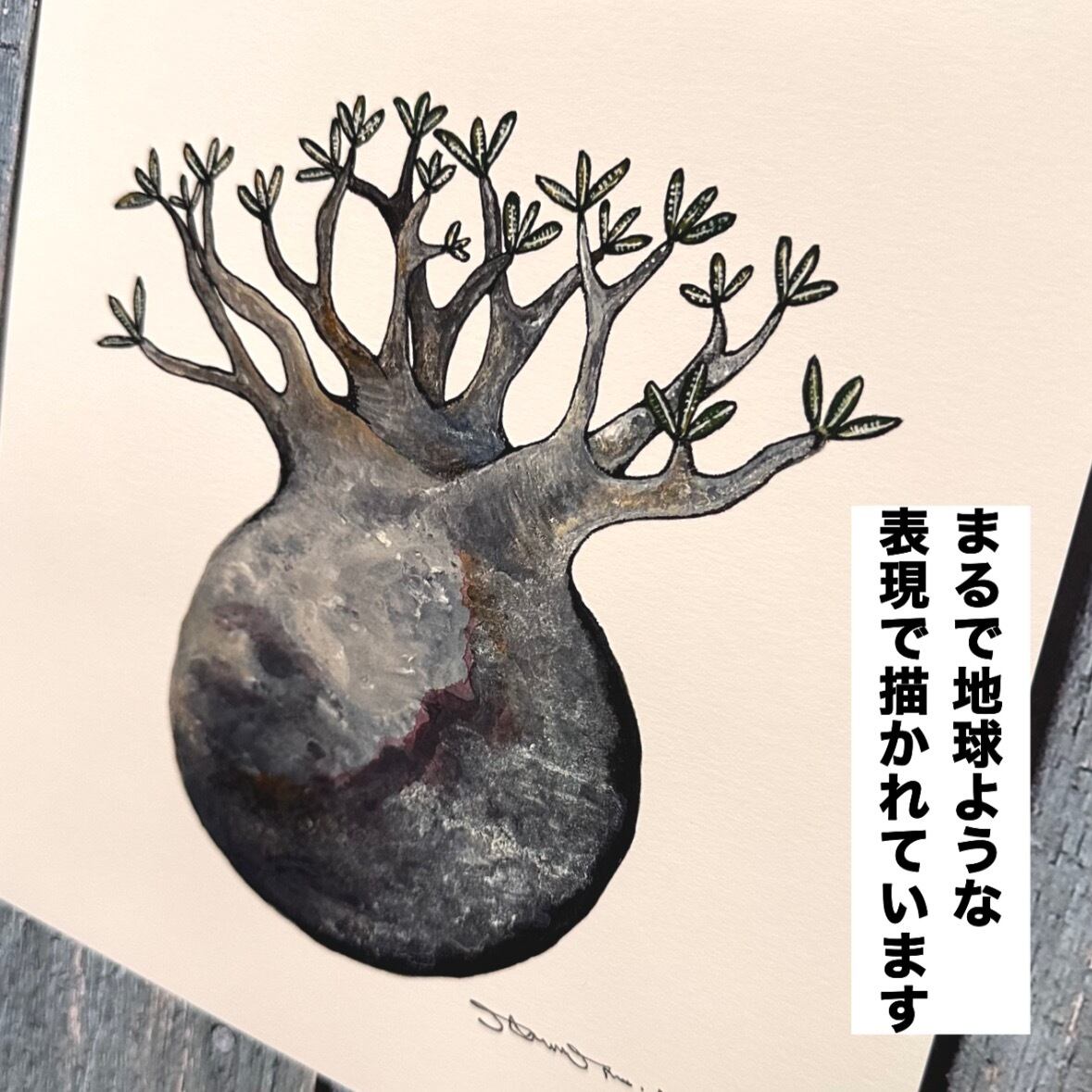 地球を感じるグラキリス】複製原画 | BOKUTO