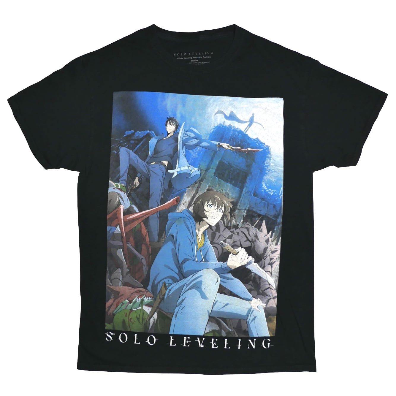 USED【M】Anime Solo Leveling 俺だけレベルアップな件 Tee