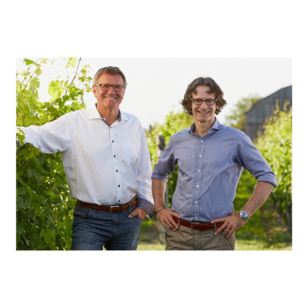 Cave Spring Cabernet Franc 2023 – VQA Beamsville Bench（ケイヴ・スプリング カベルネ・フラン 2023）