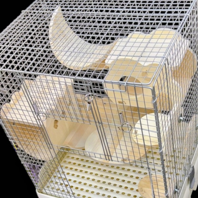 【数量限定】♡エンジェルの馬車♡