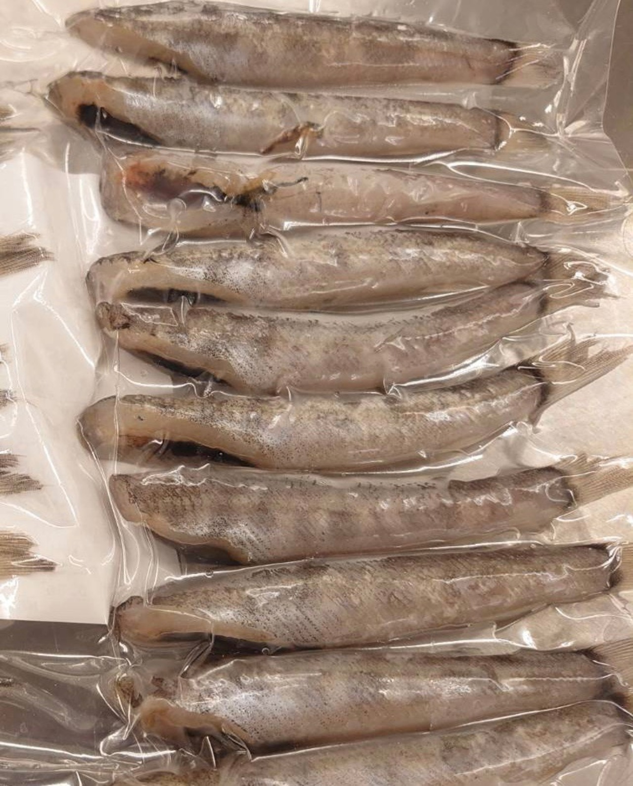 メヒカリ 唐揚げ用 6パック0g入り 宮崎ギヨウザ製造直売所 メヒカリ 唐揚げ用 6パック0g入り 宮崎ギヨウザ製造直売所