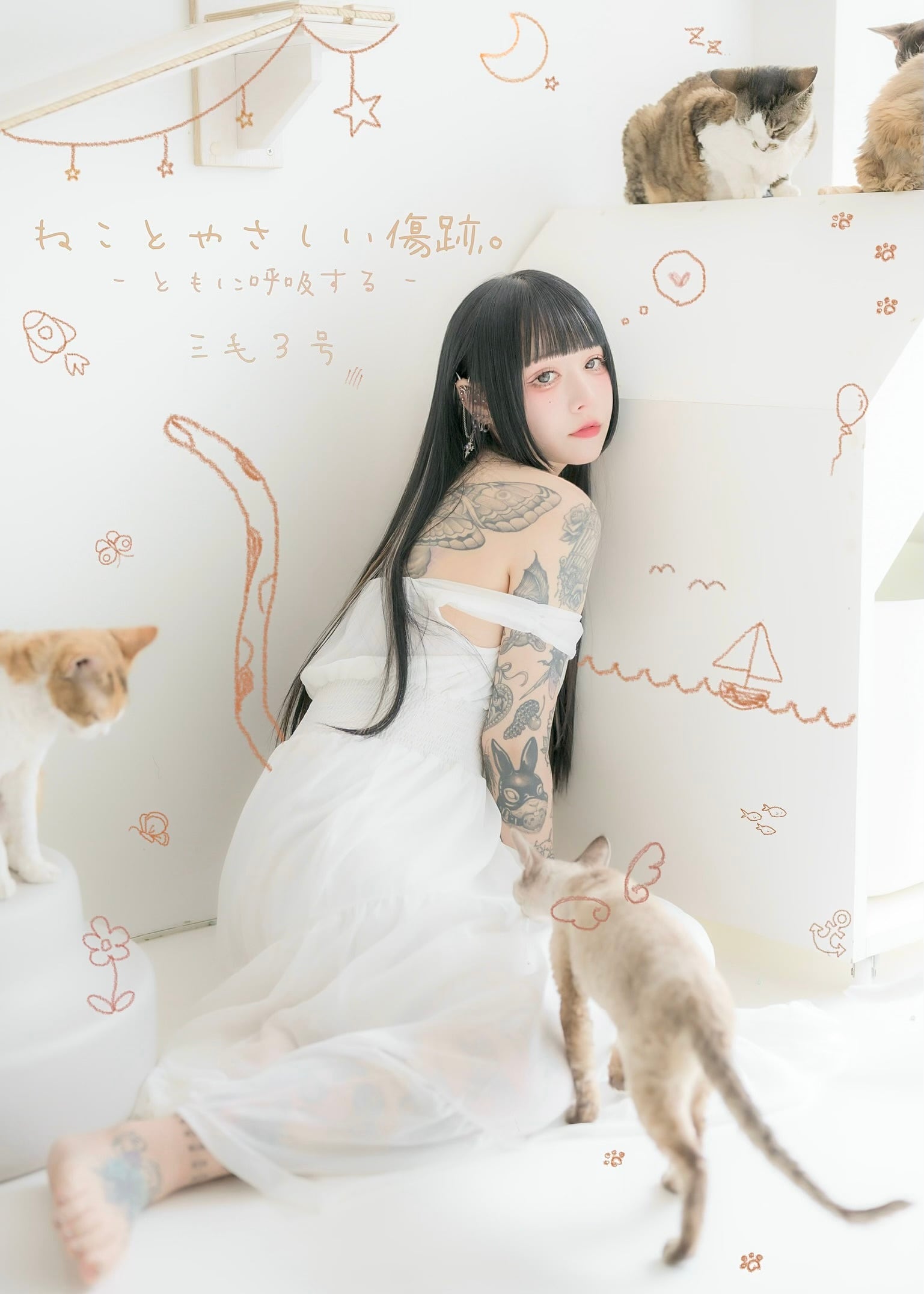 三毛猫堂