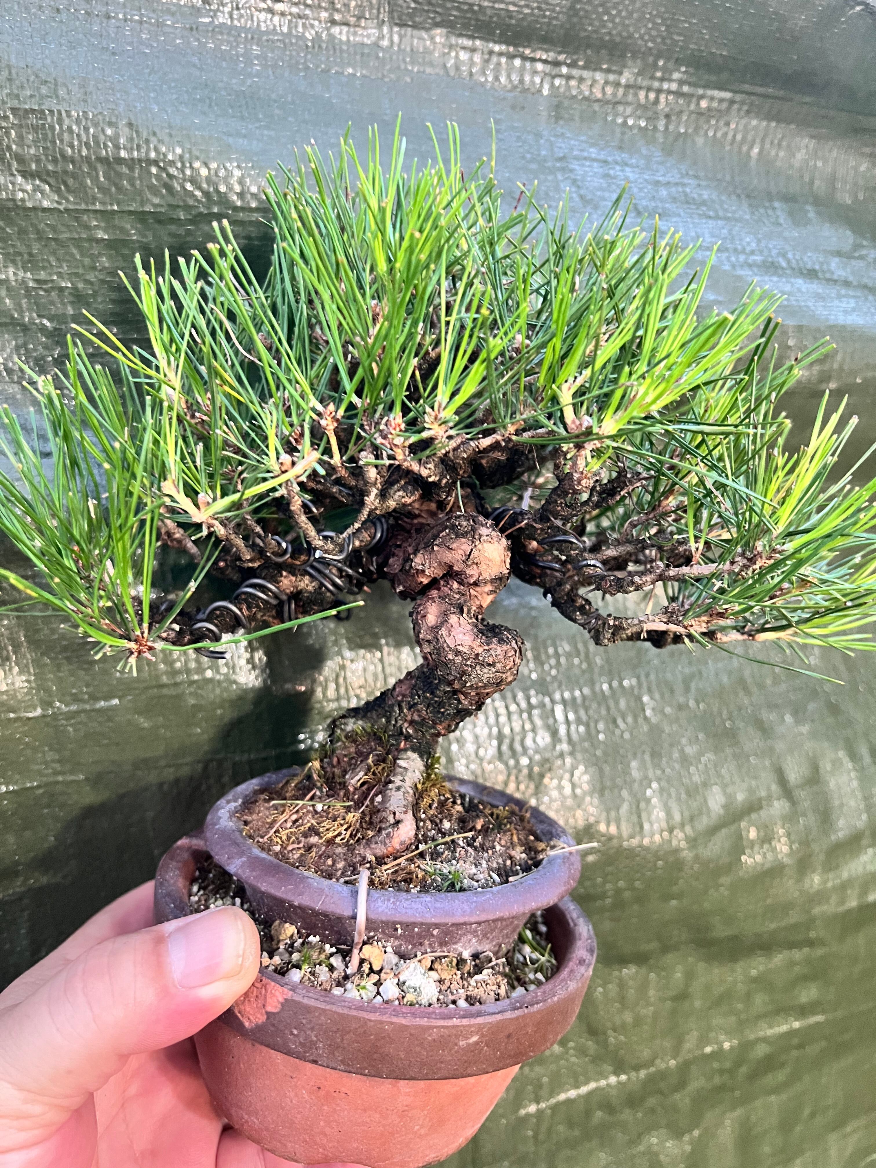 台座スタンド 無垢材 ベース 仏像 工芸 オーナメント ベース 花瓶 盆栽