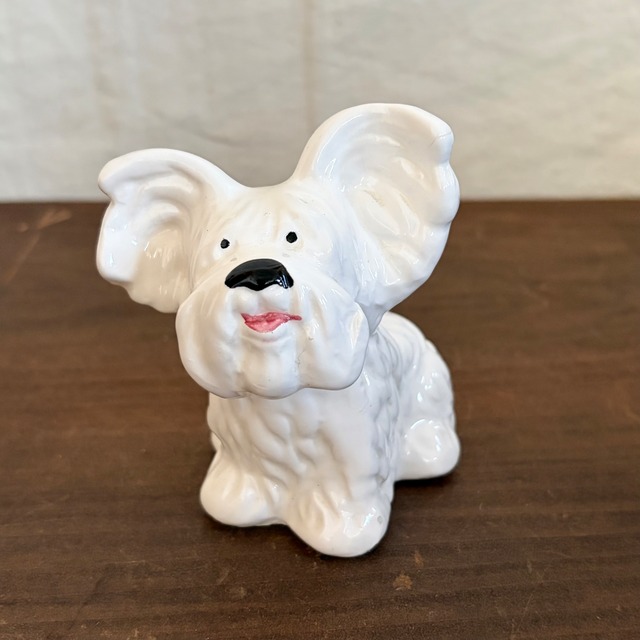 白いスマイリーな犬