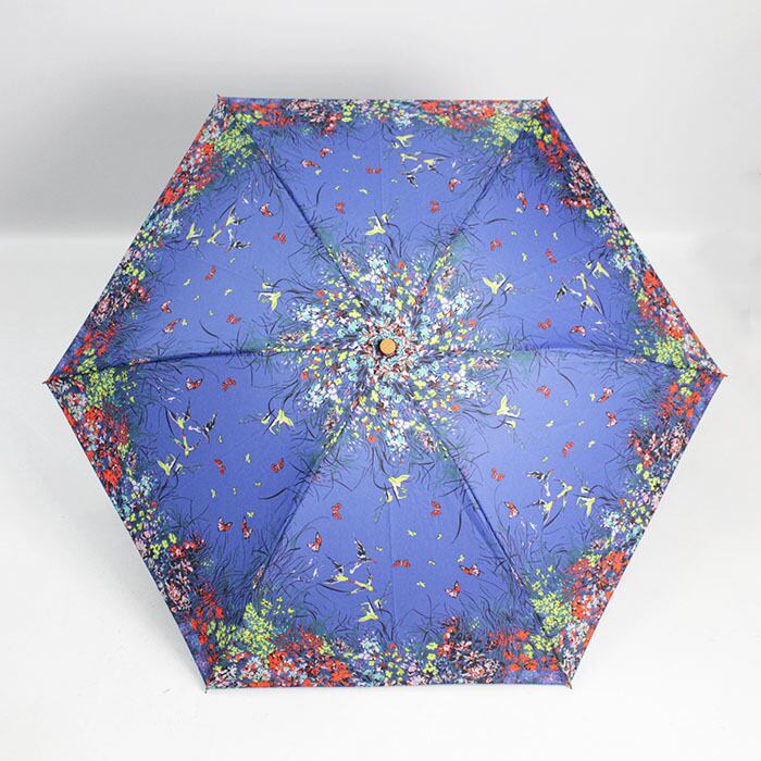 新品★manipuriマニプリ★ペイズリー長傘 晴雨兼用 manipuri（マニプリ）の「MANIPURI / 