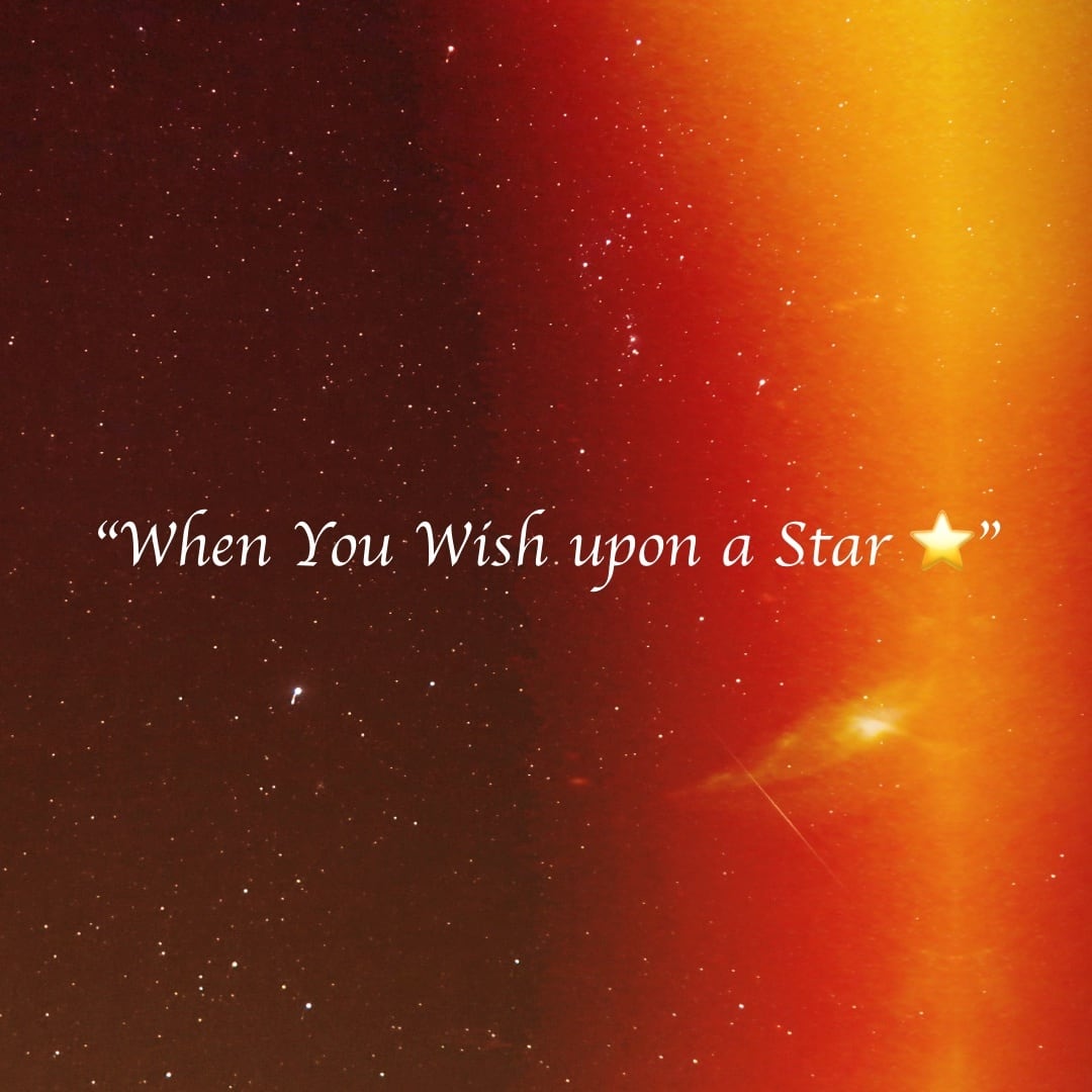 ★1月の誕生石★【Sv925】スターガーネット ペンダント ★星降る夜の守護者★＊希少石＊