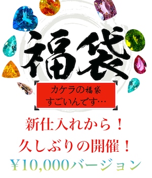 【¥10,000バージョン】1人1つまで！夏休み還元福袋  ［No.K-683］