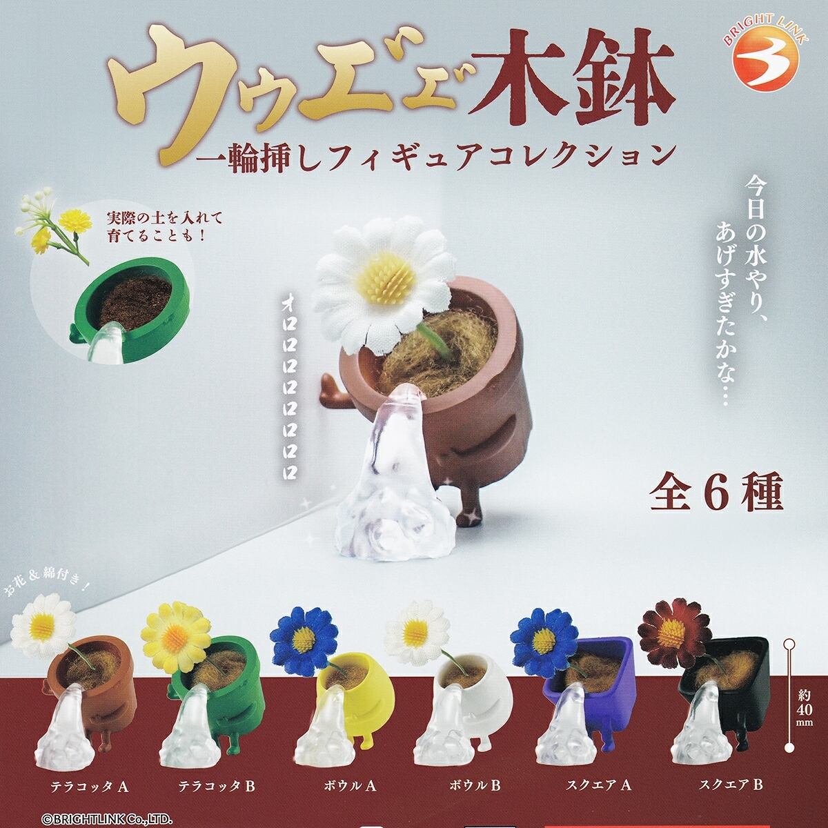 フルコンプ】 にゃんにゃんにゃんこ にゃんこカフェアソート