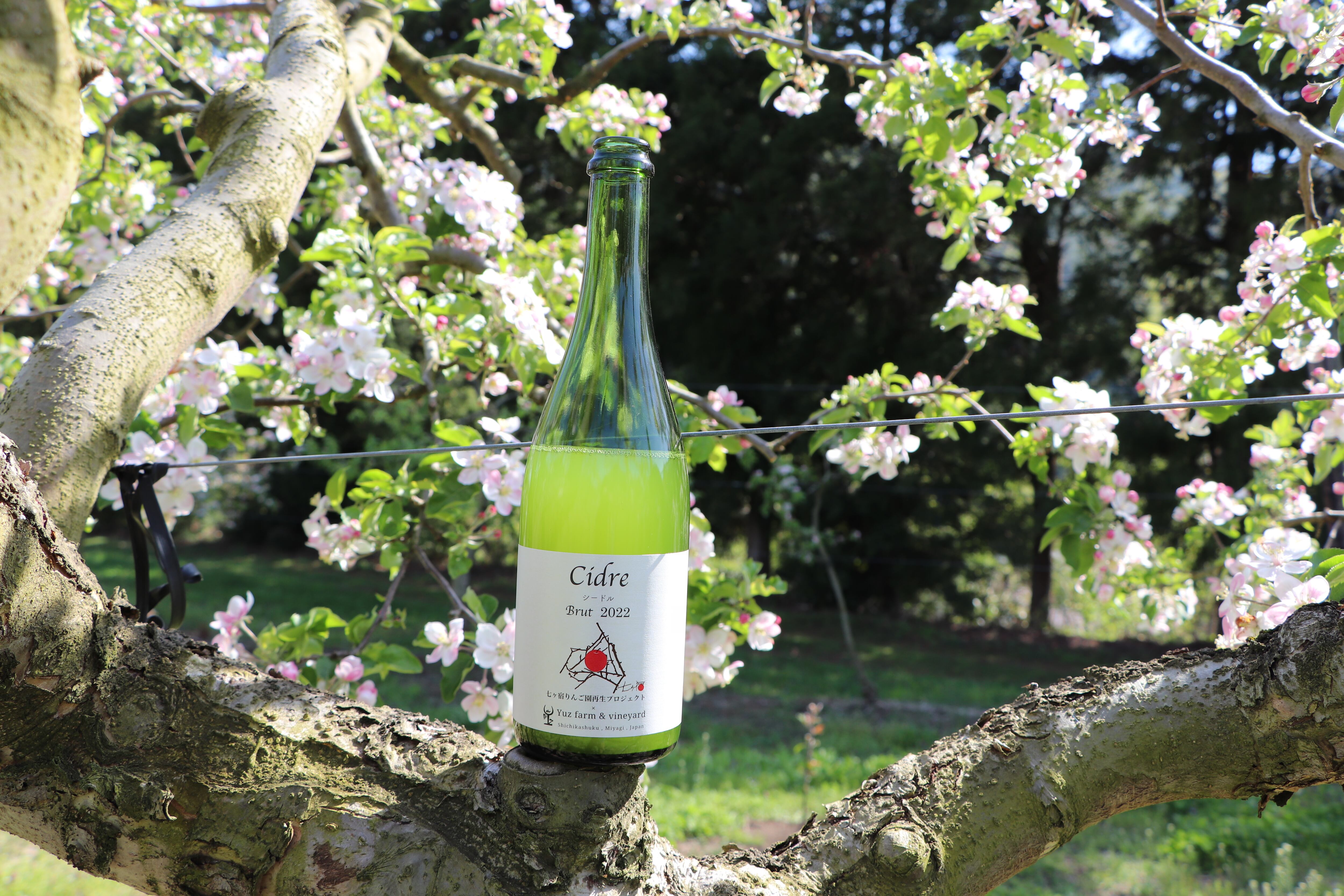 Cidre Brut 2022