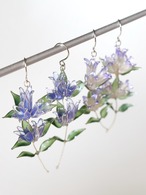 秋風に揺れ舞う竜胆