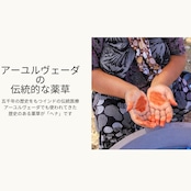 【ヘナ初心者セット】ミディアムヘア用オーガニックヘアカラーセット2|エコヴェーダ