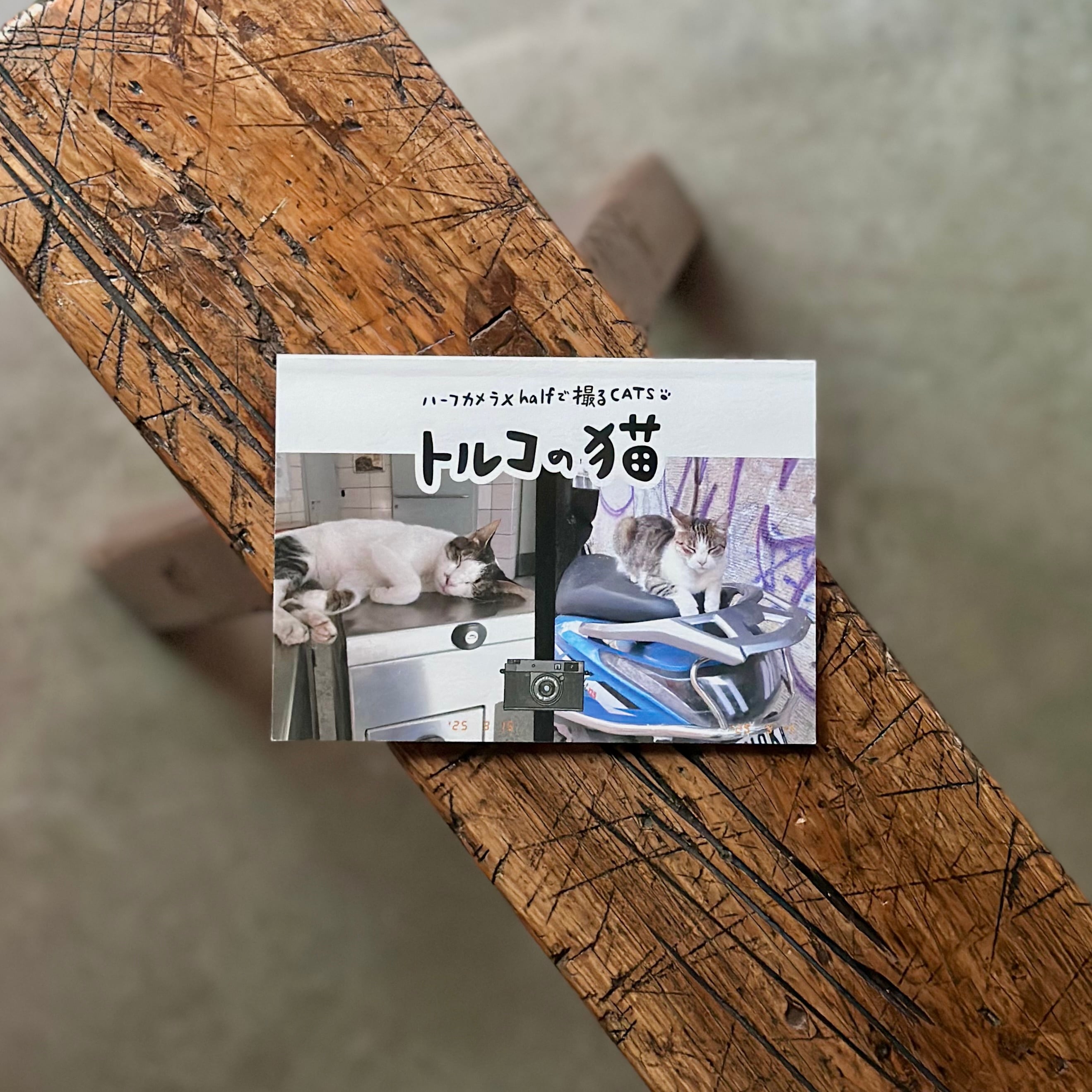 トルコの猫 - ハーフカメラX halfで撮るCATS -