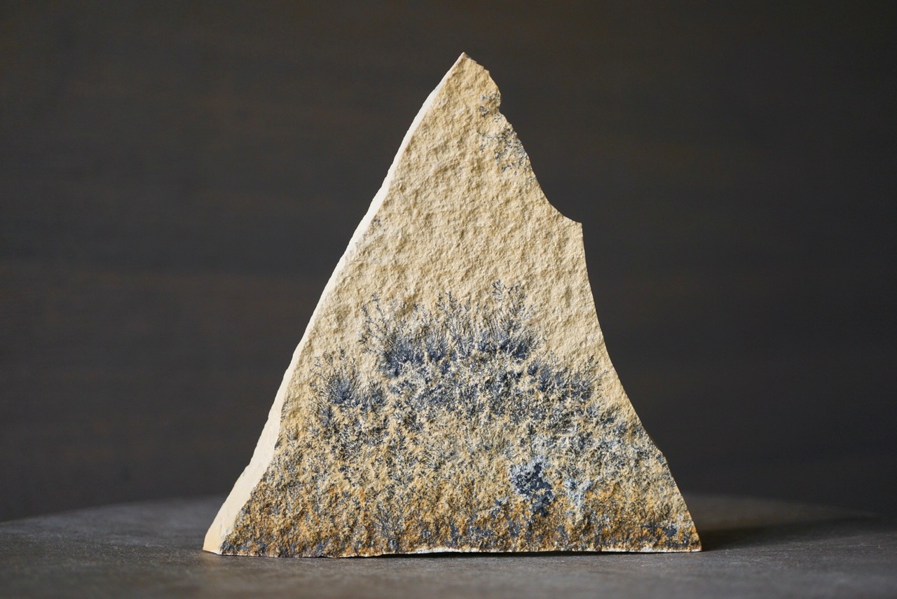 デンドライト 忍石 Dendritic limestone 1188