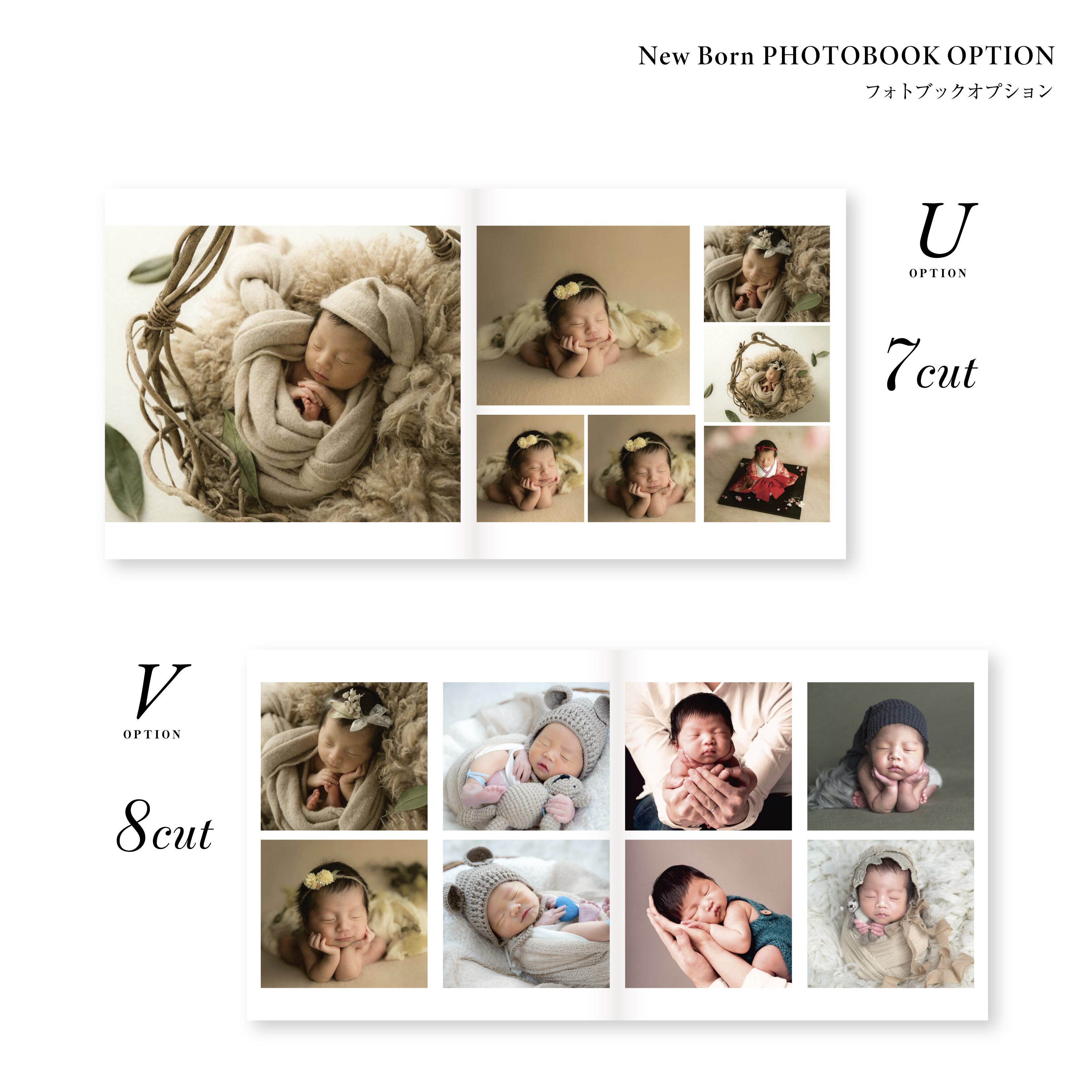 フォトブック Amazon | Zoner Photo Studio X ガイドブック【A4サイズ、78