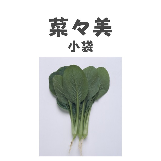 菜々美　コマツナ種子・小袋