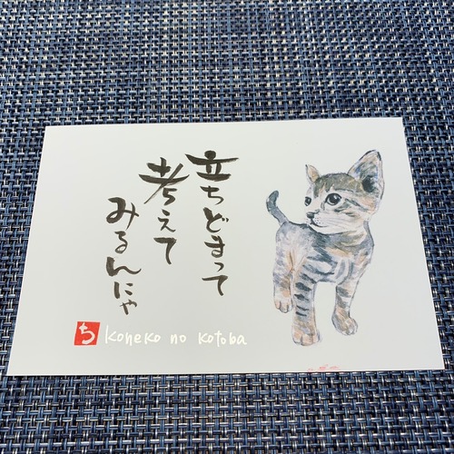 ポストカード　35（子猫）