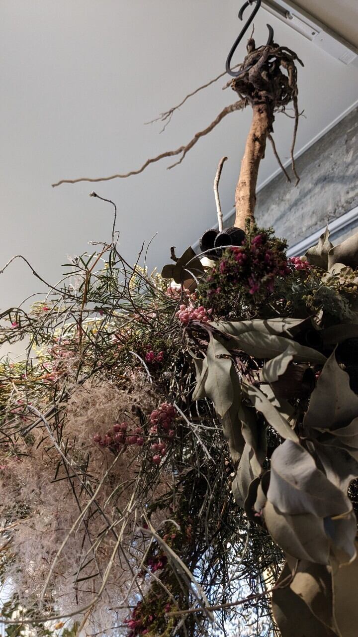 逆さツリー Dried flower