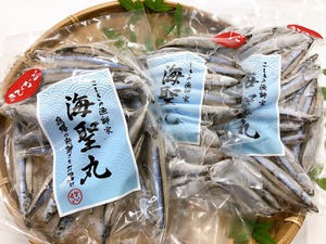 生きびなご（冷凍）200ｇ×3