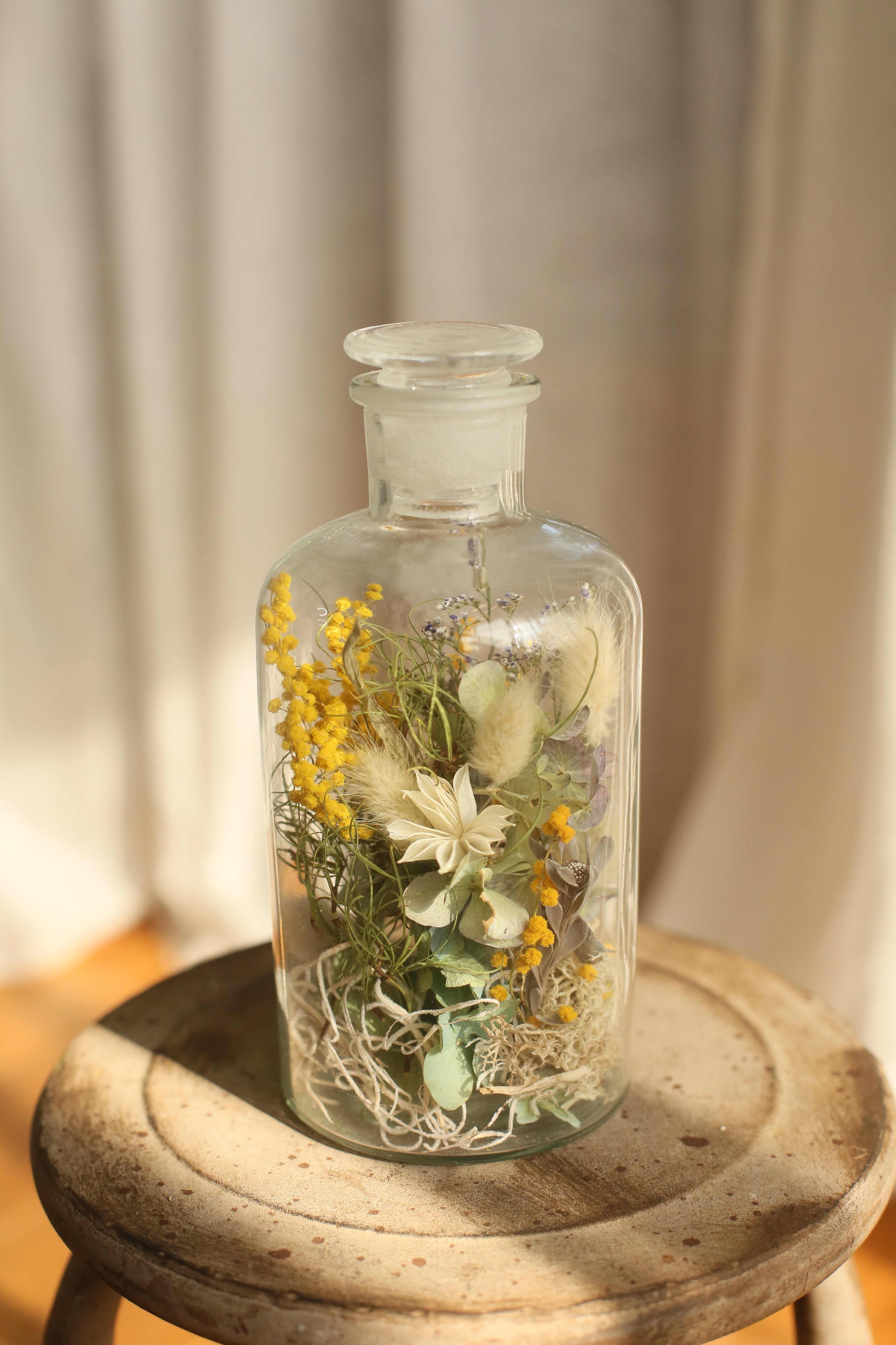 専用感謝sale＊ライム＆ハスの実ドライフラワータペストリー creema限定＊春の福袋2024]ハスの実ドライフラワータペストリー