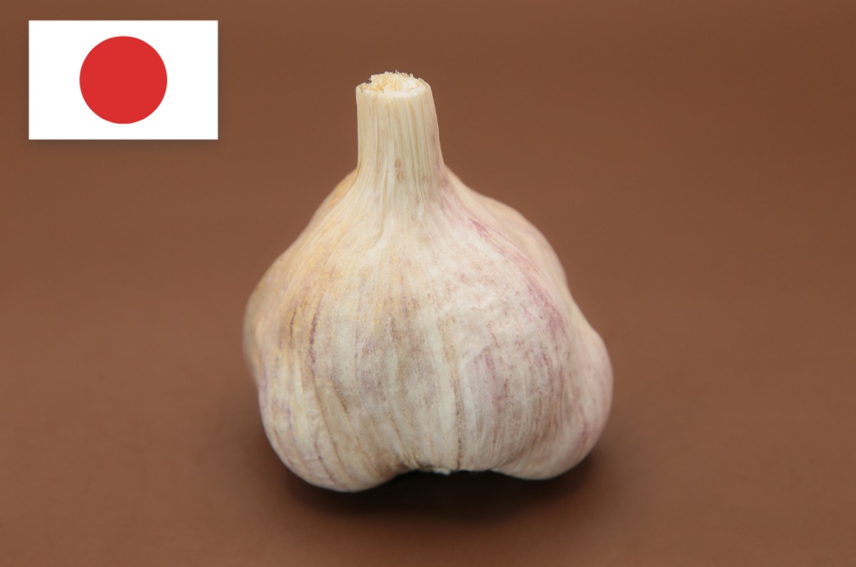暖地系にんにく】「紫々丸」 S～M玉サイズ1kg（ 50玉前後/kg