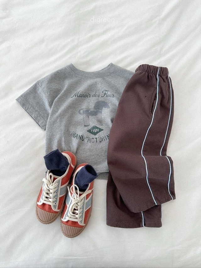 〘予約〙digreen / maiden T