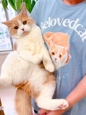 うちの子フォト｜Tシャツ