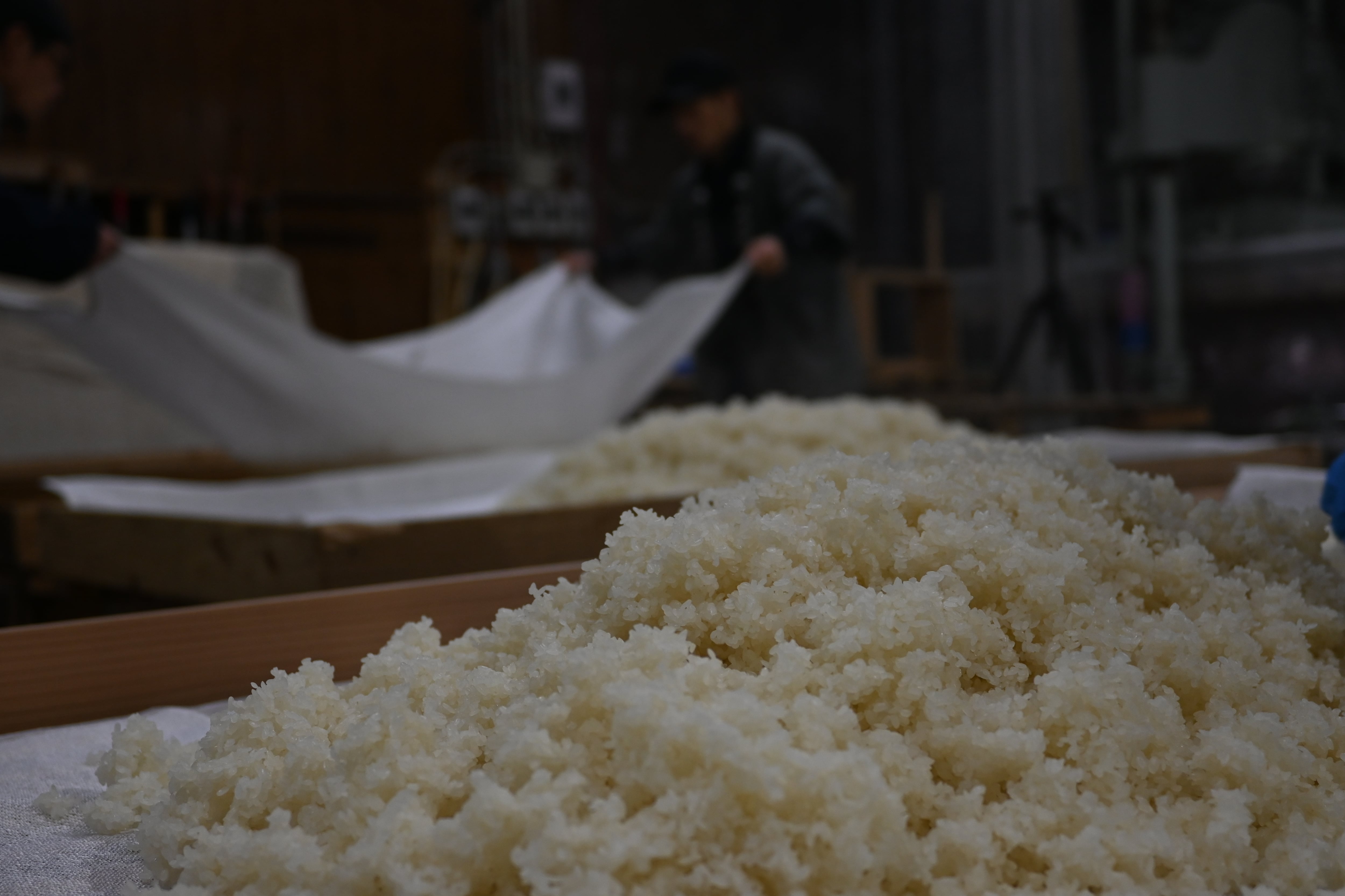 YOKACHORO PB 日本酒】Tri -トリ- 火入れ | YOKACHORO FOOD BASE｜よか