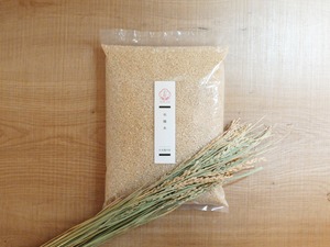 ※定期便【無農薬 無肥料】和醸米　玄米　4.5kg