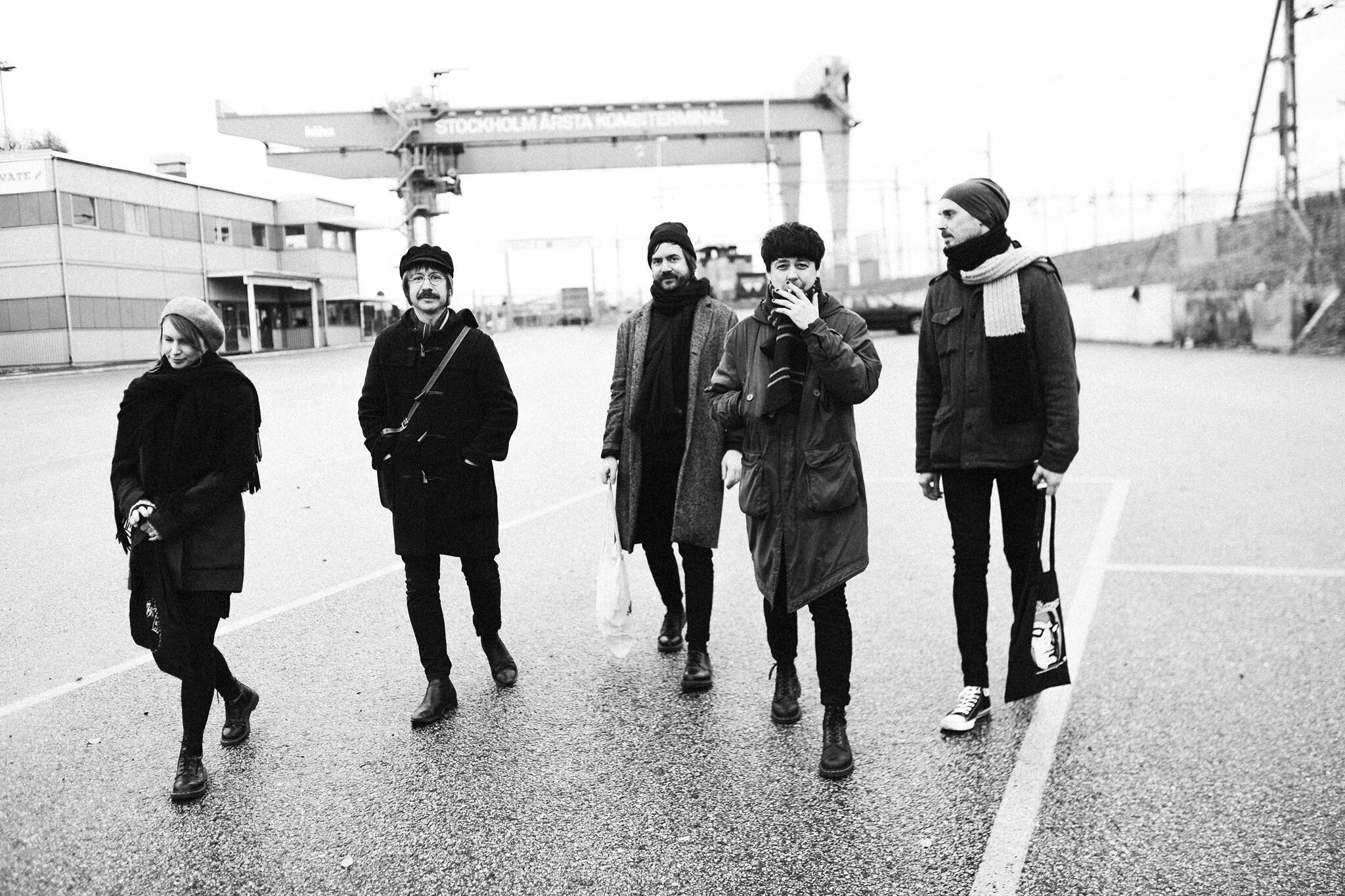 We.the Pigs / We.the Pigs(300 Ltd LP)