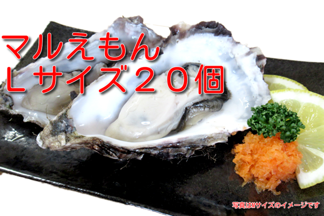 産地直送 北海道厚岸産 殻付き 生牡蠣マルえもん 3lサイズ個入 マクベリーの ひがし北海道 おいしいものショップ 産地直送 北海道厚岸産 殻付き 生牡蠣マルえもん 3lサイズ個入 マクベリーの ひがし北海道 おいしいものショップ