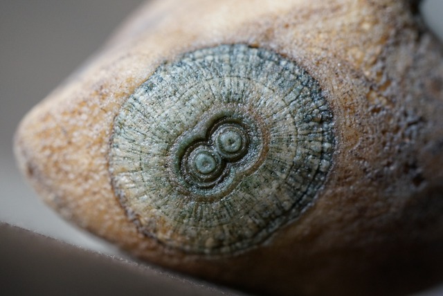 ゴビアゲート Gobi Agate 1130