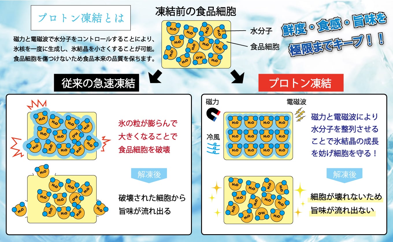 日本一の本まぐろ 最優秀賞受賞 中トロ 柵 150g 刺身用 養殖 1〜2人前 日本一の本まぐろ 最優秀賞受賞 中トロ 柵 150g 刺身用 養殖 1〜2人前