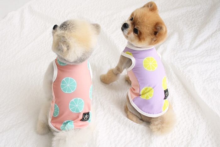 レモンタンクトップ S ~ XL 2color / 犬服 新作 夏 可愛い 犬の服