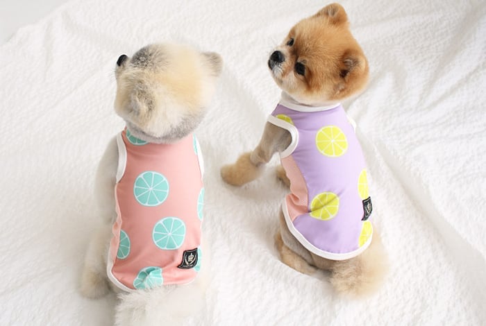 レモンタンクトップ S ~ XL 2color / 犬服 新作 夏 可愛い 犬の服 ドッグウェア ペット 涼しい 小型犬 中型犬 ワンコ服 top89