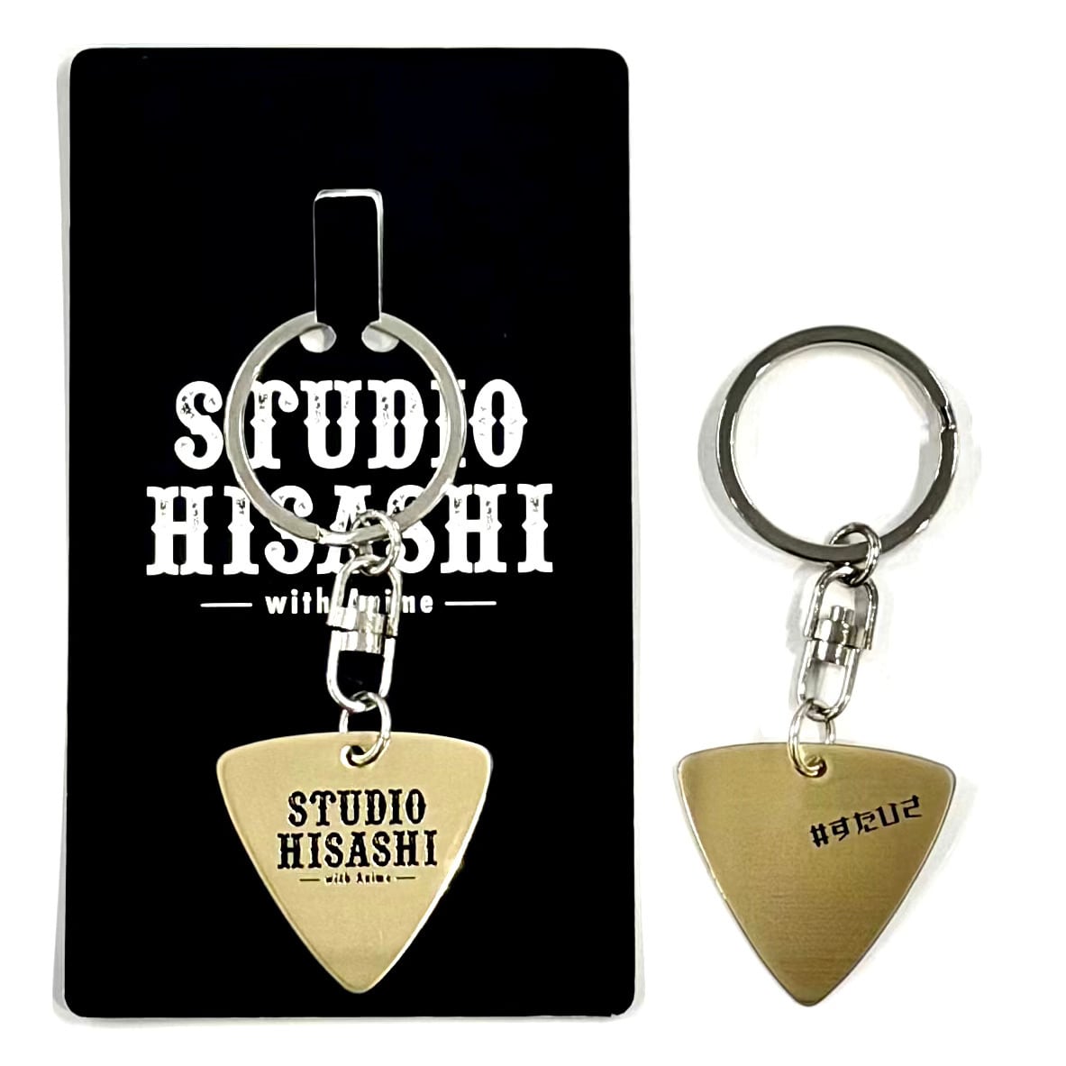 HISASHI 本人使用 ピック GLAY HISASHI ライブ使用済ギターピック Rock around The world | 音楽