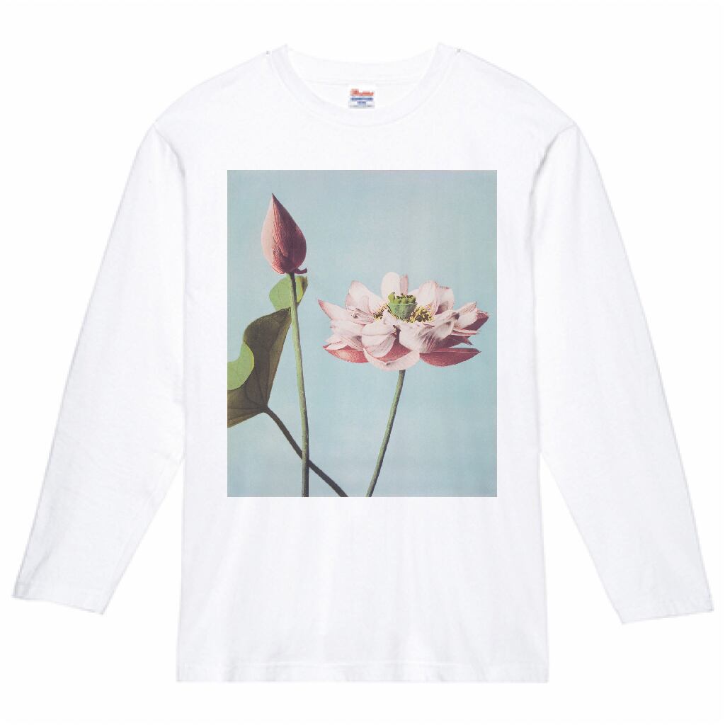 Lotus Flowers | Curated by Instinct