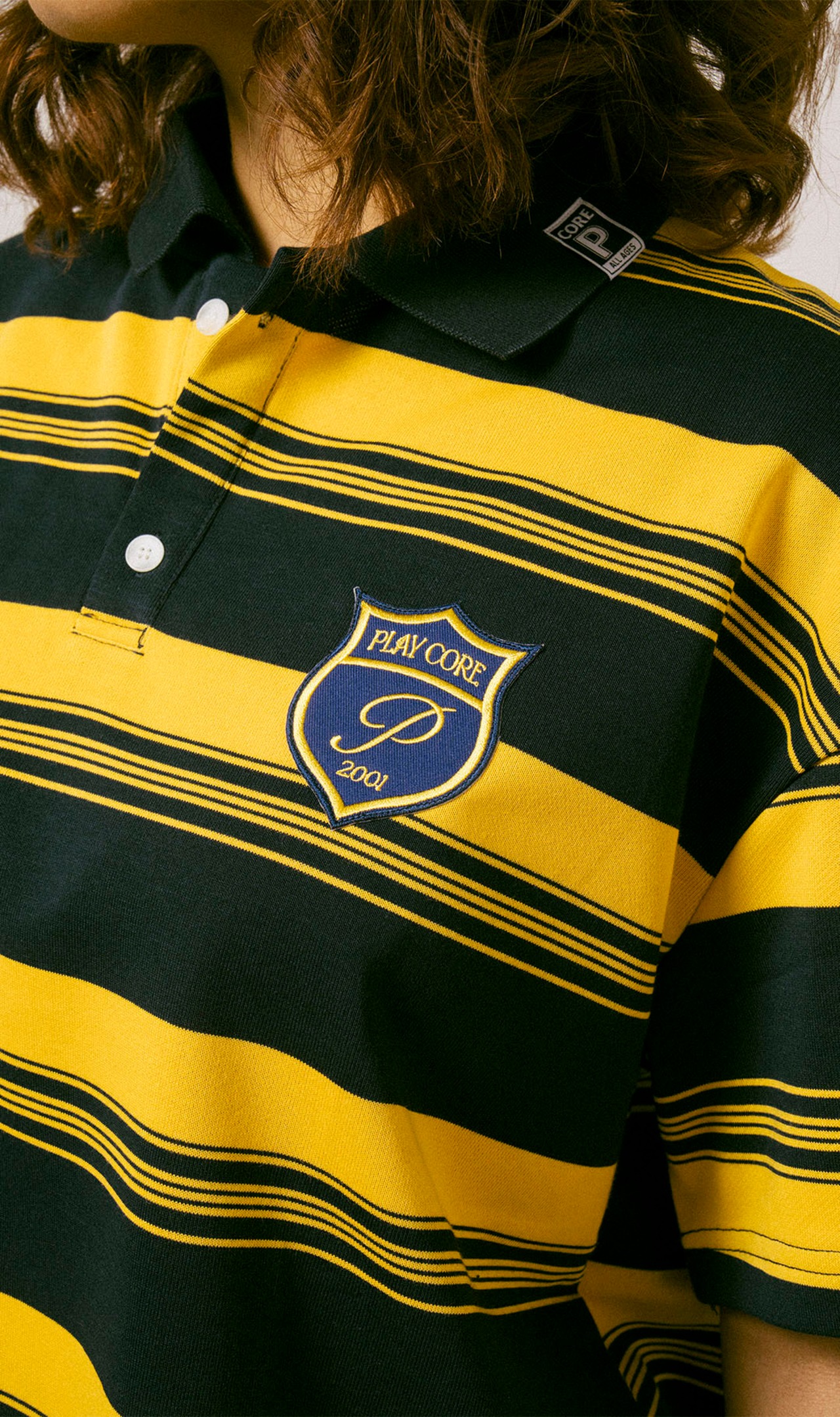 Emblem Stripe Polo Shirt / ASH×BLACK - 5