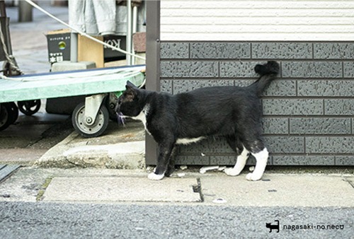 post card 085
