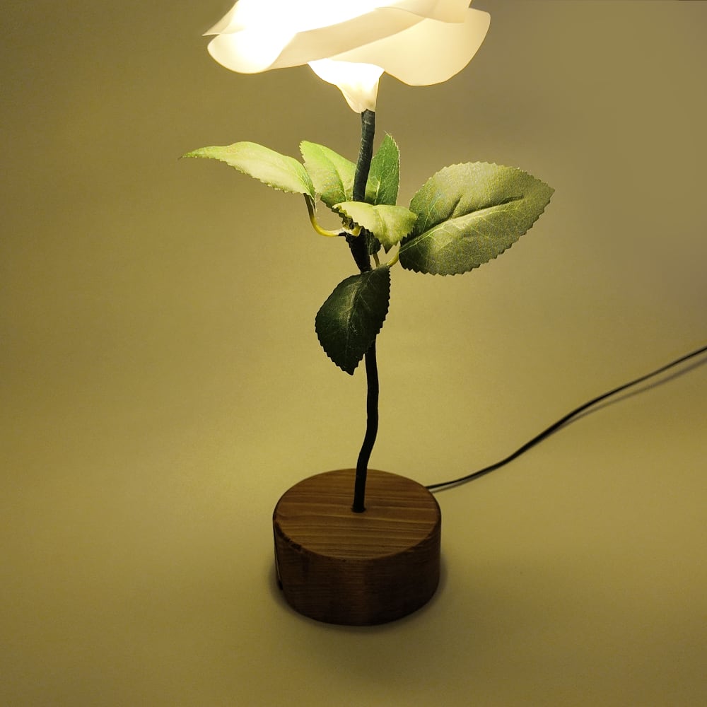 Natural style - Brown Base White | HANA-LUX ハナルクス