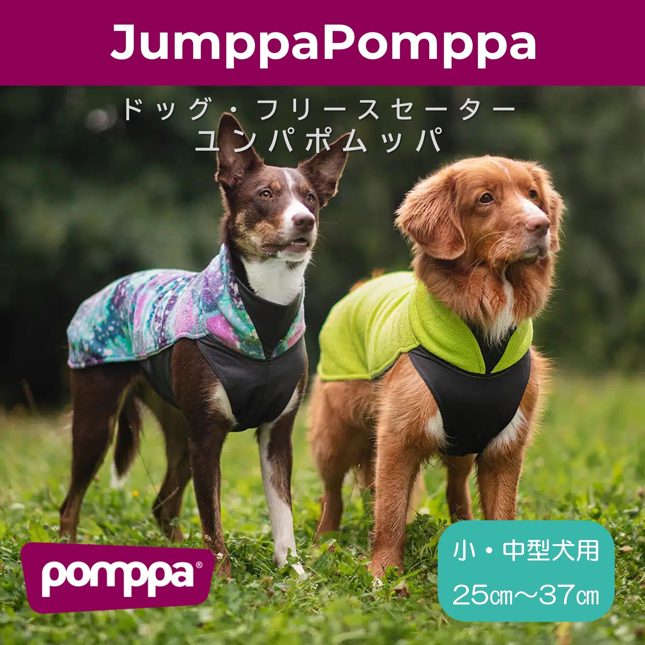 Pomppa | 1stDogCafe BASE店