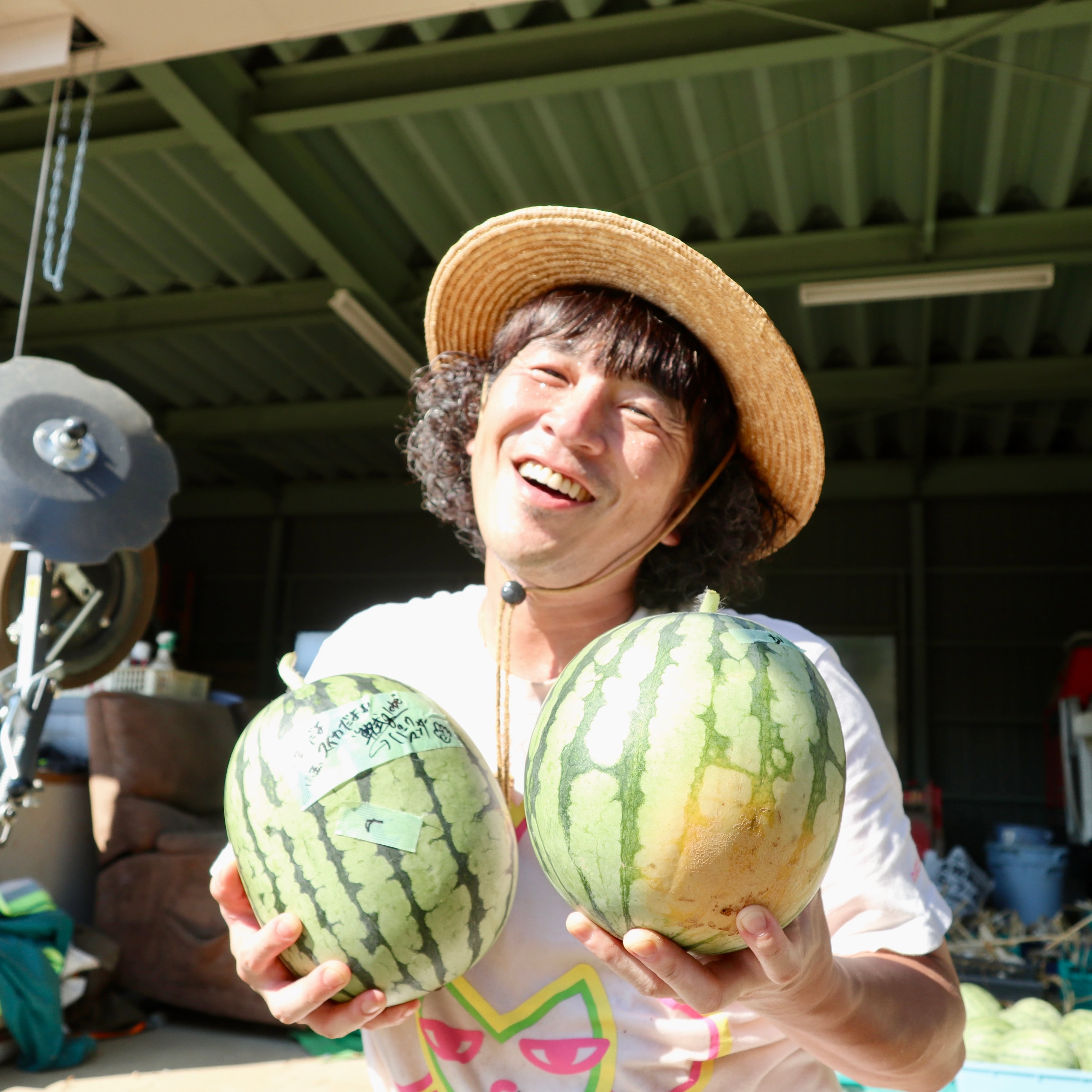 小玉・パークスイカー 4号 & 14号 2個セット (合計6.4kg)