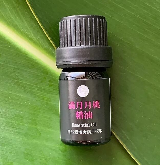 新品❣️ 沖縄月桃 タイリン 5ml 再販開始 ヤングリビング 集中力